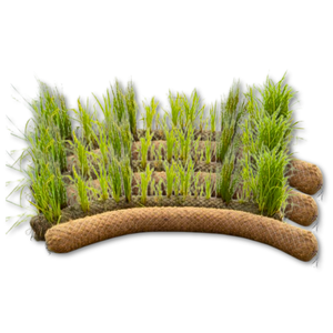 <b>Large</b> Supply COIR LOG / PALM MAT Build Resilient River Dikes with Eco-Friendly Coir Logs - Product Image 1