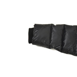 Chaqueta acolchada de alta calidad para mujer, cuello levantado, forro de lana transpirable, tejido, última llegada, chaqueta de calidad al por mayor - Product Image 3