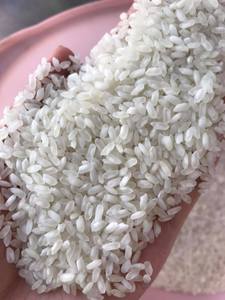 ข้าวขาวคาลโรส-เวียดนาม เมล็ดกลาง แข็ง แห้ง (100%) อายุการเก็บรักษา 24 เดือน อัตราส่วนข้าวหัก 5% ความชื้นสูงสุด 14% สารต่างๆ ผสมเข้ามาไม่เกิน 0.1% - Product Image 4