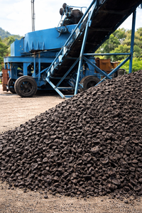 Biomasse de coques de noix de palme naturelles – Source d'énergie propre et durable - Product Image 2