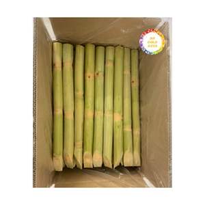 Une usine de canne à sucre congelée du Vietnam produit des bâtonnets naturels frais idéaux pour la production de boissons, de smoothies et d'emballages de vente au détail - Product Image 5