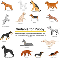 Poudre de Probiotiques, Glucosamine, Oméga-3 et Huile de Poisson Multivitaminée en Gros (OEM/ODM) pour Chiens et Chats - Absorption Rapide, Digestion, Articulations et Os