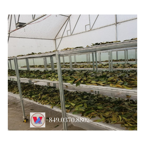 ใบทุเรียนเทศแห้งสำหรับการเก็บเกี่ยวแบบใหม่ในราคาไม่แพง - Product Image 1