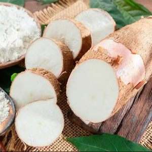 Farine de tapioca modifiée de qualité supérieure, amidon de manioc soluble pour les industries adhésives, blanc naturel, durée de conservation de 24 mois - Product Image 1