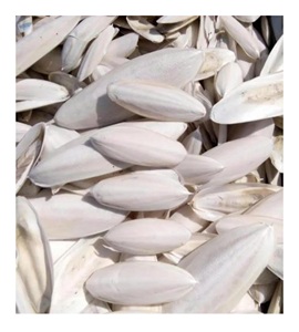 Hueso de sepia seca de mejor grado para alimentación animal, hueso de sepia seco de alta calidad, proveedor de alimentos para mascotas de aves Premium de Vietnam - Product Image 1