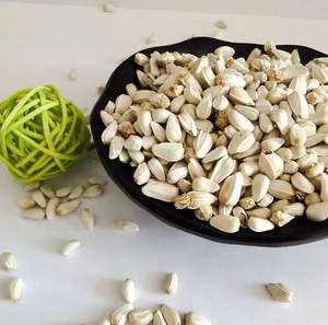 เมล็ดดอกคำฝอย (ซัฟฟลอร์) เกรดพรีเมียม |   อเนกประสงค์สำหรับการสกัดน้ำมันและอาหารนก |   ผลิตภัณฑ์จากแอฟริกาใต้ อายุการเก็บรักษา 1 ปี - Product Image 4