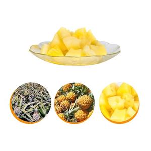 PROVEEDOR AL MAYOR DE REBANADAS DE PIÑA EN LIGHT SYRUP-PRECIO COMPETITIVO - Product Image 2