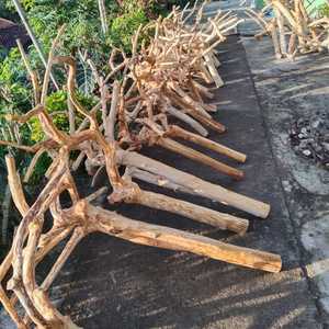 Vente en gros perroquet en bois oiseau support java perroquet en bois pour accessoires pour animaux de compagnie ou idée de décoration pour la maison - Product Image 3