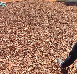 ผงธูป - Product Image 1