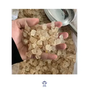 Goma de mascar instantánea Karaya más vendida con agua STERCULIA FOETIDA/ KARAYA GUM PARA LA VENTA 2024 - Product Image 1