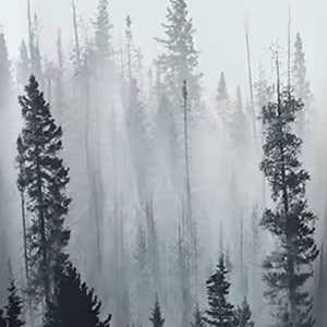 Novedad: Sudaderas con Capucha para Hombre de Secado Rápido, 100% Algodón, para Uso en Exteriores, Color Liso, Venta Directa de Fábrica para Invierno - Product Image 6