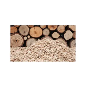 Holzpellet neues Design energiesparend Schmelzen Biomasse Holzpelletbrenner für Kessel grünes Feuer