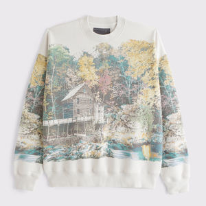 Personalizado 100% algodón peso pesado Boxy Fit pulóver con capucha de doble capa sudaderas de lana para los hombres para el invierno - Product Image 1