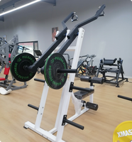 Machine à tirer les lombaires indépendante PowerX à charge libre pour l'entraînement musculaire du dos