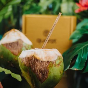 Pajitas de bambú reutilizables de hoja de coco 100% naturales, juego de PLA consciente de la tierra para viajes, paquete reciclable para escuelas - Product Image 4