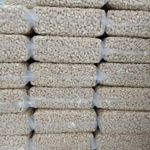 Anacardos enteros deliciosos de suministro de fábrica para aperitivos con 24 meses de vida útil - Product Image 1