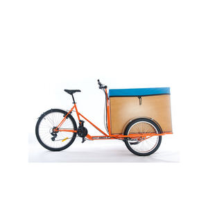 <b>Tricycles</b> for Cargo offered for bulk trade with fast delivery and premium quality - Product Image 2