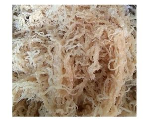 Eucheuma cottonii สาหร่ายไอริชอาหารเสริมมอสทะเลแบบพรีเมี่ยมแร่ธาตุธรรมชาติส่งออกจำนวนมาก - Product Image 3