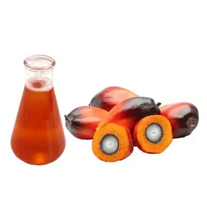 Red Palm Oil - Palm Oil Supplier