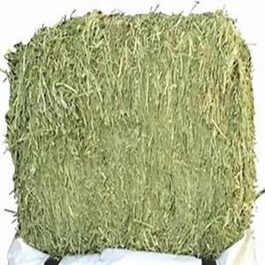 Proveedor de Heno de Alfalfa Seco de Primera Calidad para Exportación, con 2 Años de Vida Útil, para Alimentación de Caballos y Ganado, a Nivel Mundial - Product Image 2