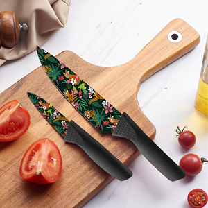 Prix Usine Nouvelle Tendance Couteau de Chef en Céramique 2 Pièces Ambidextre Compatible Lave-Vaisselle Manche en Plastique Durable pour Barbecue Livraison Rapide - Product Image 6