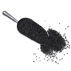 Lentilles noires séchées biologiques de qualité supérieure sans OGM soigneusement nettoyées et emballées pour les gros acheteurs et les marchés d'exportation - Product Image 1