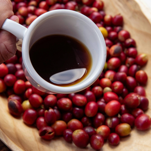 Café Robusta torréfié, procédé Honey Process, variété Robusta, corps corsé, haute teneur en caféine, service OEM/ODM disponible - Product Image 2