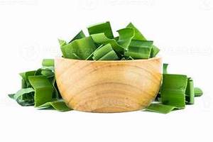 FEUILLES DE PANDAN SÉCHÉES À ÉTIQUETTE PROPRE POUR UN SOUTIEN AROMA À BASE DE PLANTES ET FORMULE D'ÉQUILIBRE IMMUNITAIRE NATUREL - Product Image 5