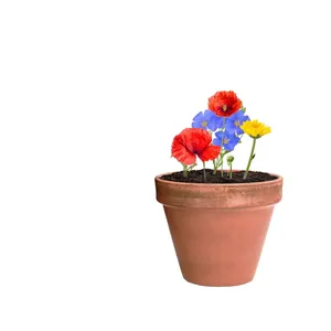 Sfera di Semi Flobba, Gadget Ecologici per Feste, Forniture Promozionali Eco-Friendly - Product Image 5