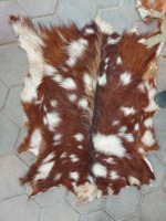 Pieles de Cabra con Pelo para Decoración del Hogar, Manualidades, Muebles, Bolsos - Piel Curtida con Patrón, Secado Rápido, Colores Naturales