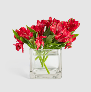 WGV VCB0005A Florero Moderno de Cristal Transparente 5x5, Cubo de Cristal para Arreglos Florales de Mesa, Portavelas para Uso Diario - Product Image 2