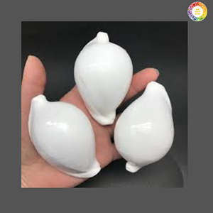 Wholesale Vietnam Cowrie Shells Smooth Glossy Shells for Fashion Jewelry - Product Image 5