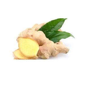Tinh Khiết Tươi Voi Gừng Tự Nhiên Chất Lượng Tươi Trẻ Gừng Kích Thước Lớn Đặc Điểm Kỹ Thuật Hữu Cơ Vàng Gừng - Product Image 4