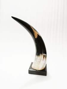 Cuerno vikingo para beber recién llegado, cuerno de Búfalo, cerveza, cerveza, cuerno para beber, Ágata con calidad superior para ocasiones navideñas - Product Image 3