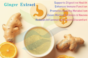 Suministro directo de fábrica HGO de extracto de jengibre natural puro (grado alimenticio) Especificación 10:1 (extracto de proporción) - Product Image 5