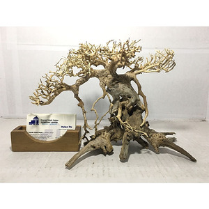 2025 Meilleurs articles Bonsai Driftwood pour Decorfish tank Aquarium - Product Image 2