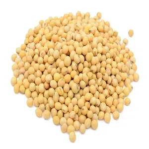 Original Soybeans/ Cheap Price Soya Beans Best Selling Soy Bean Seeds