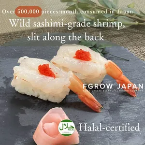 Japonés grueso congelado altamente popular marisco fresco Sushi camarones salvajes