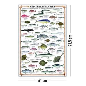 Carte d'art imprimée représentant les poissons du Moyen-Orient - Product Image 1