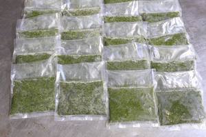 Hojas de yuca verde congeladas de grado superior, empaquetadas a granel, directas desde Vietnam, perfectas para la exportación de hojas de yuca congeladas a la venta - Product Image 4