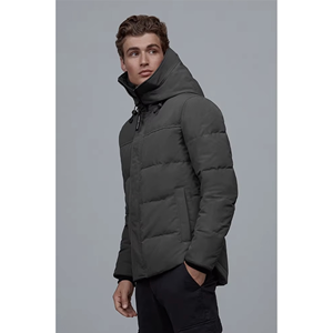 Veste matelassée pour hommes nouveau style, vestes chaudes, manteau d'hiver matelassé, vêtements d'extérieur décontractés, mode OEM, ODM, veste d'hiver personnalisée - Product Image 3