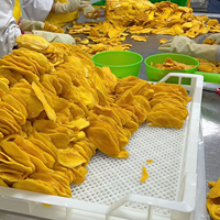 Vietnamese leverancier van gedroogde mango (FD), gesneden en verwerkt, levert consistente kwaliteit, gezonde snacks voor wereldwijde snackmerken en handelaren.