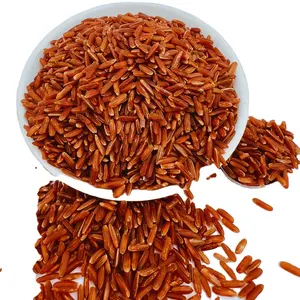 Toàn bộ New Red Rice từ Việt Nam giá rẻ giá New Crop sẵn sàng để xuất khẩu thực phẩm phong phú dinh dưỡng hữu cơ gạo chất lượng cao