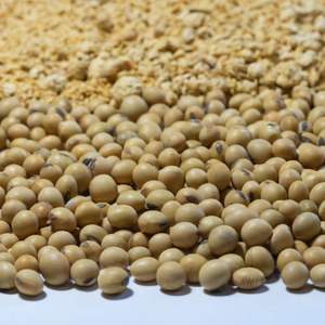 Aliments pour animaux Farine de soja Produit agricole spécifique à la volaille - Product Image 4