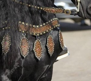 Harnais et collier de poitrail en cuir véritable vintage de haute qualité, best-seller, équipement pour chevaux en cuir de vache, prêt à être expédié - Product Image 3
