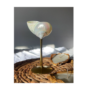 Seashell <b>Glasses</b> Vietnam Artistic Shell Embedded Glassware for Wedding Party Decoration and Gift Shops Handmade in Vietnam - Product Image 5