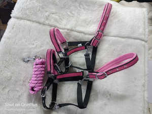 ม้าไนล่อนปรับแต่งสายรัดเชือกแขวนคอเหล็กที่มีคุณภาพสูงโลหะที่เหมาะสมโครเมี่ยมทองเหลืองซาติน Polyce นำชุดเชือกแขวนคอสีดำ/ สีชมพู - Product Image 3