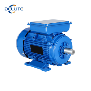 Động cơ một pha dellite ie3 hiệu suất cao 220V 3hp-4hp cảm ứng AC không đồng bộ cho máy nén nước thiết kế tùy chỉnh - Product Image 1