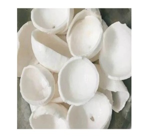 Carne de coco congelada orgánica Proveedor de Vietnam Exportación a granel Coco blanco Premium para batidos Bebidas Postres Procesamiento de alimentos - Product Image 1