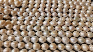 Hebras de perlas cultivadas de arroz de agua dulce blanco de alta calidad, cuentas naturales sin tratar para hacer joyas, cambio de Color, DIY, sueltas - Product Image 2